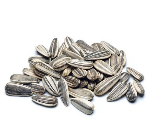 [30119] R. SUNFLOWER SEEDS 
بزر شمس محمص