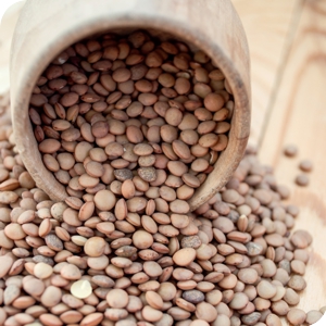 [5054] BLACK  LENTILS 500g