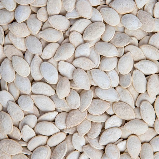 [30113] R. CH. WHITE PUMPKIN SEEDS SALT 
بزر ابيض مالح