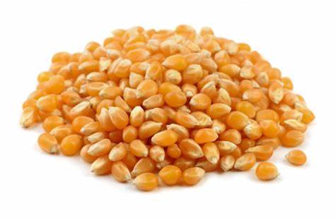 [30120] AM. POP CORN 1KG
