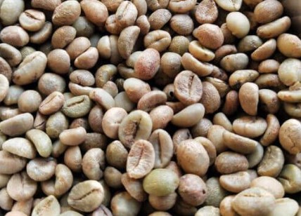 [30122] COFFEE LAGAMTI 1 KG
بن لقمتي أخضر